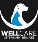 wellcare-footer-logo-1